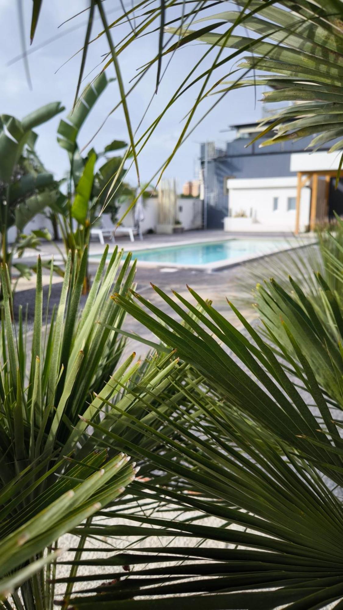 Vistamare Beach Garden Relax San Leone Exterior photo
